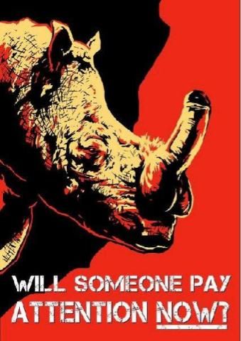 Absolutely brilliant!! Poking fun at the controversial Zuma painting "THe Spear" Rhino Poaching, Rhino Horn, Save The Rhino, Jacob Zuma, Baby Rhino, Stop Animal Cruelty, Vegan Animals, Endangered Animals, Game Reserve