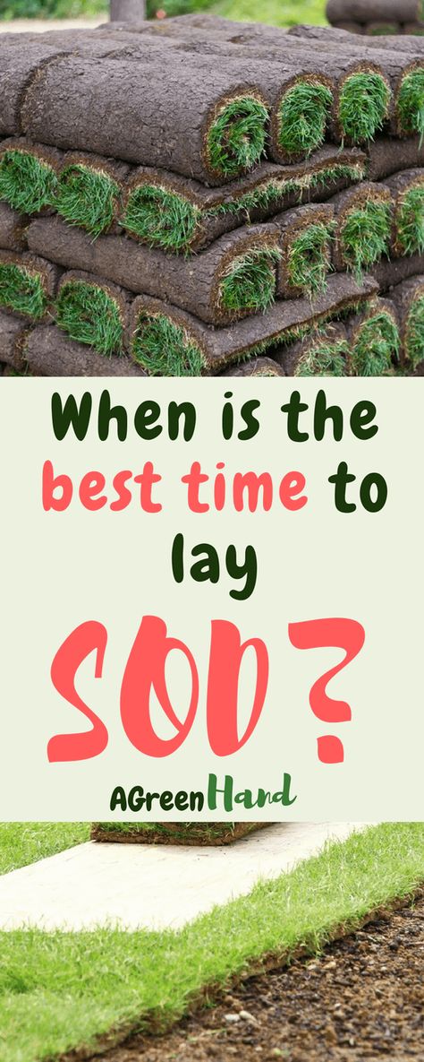 Front Yard Sod Landscaping, Sod Backyard Landscaping, Sod Landscaping Ideas, How To Sod A Yard, Sod Grass Lawns, Laying Sod Diy Tips, Bermuda Sod, How To Lay Sod, Sod Grass