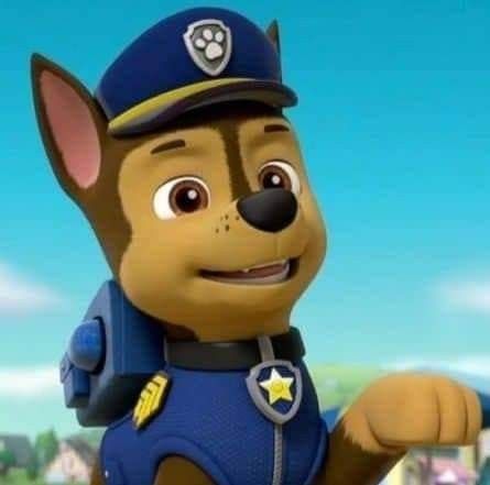 Paw Patrol Chase And Marshall, Chase From Paw Patrol, Paw Patrol The Movie Wallpaper, Paw Patrol The Mighty Movie, Paw Patrol The Movie Chase, Zuma Paw Patrol, Paw Patrol Jet To The Rescue, Paw Patrol Cartoon, Marshall Paw Patrol