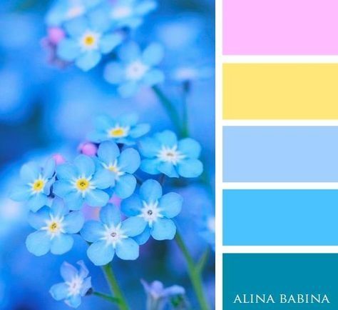 Outlook Blue Pink Yellow Colour Palette, Pastel Blue Colour Palette, Blue Yellow Pink Color Palette, Blue Pink Yellow Color Palette, Color Schemes Pastel, Blue Yellow Color Palette, Color Palette With Yellow, Blue And Pink Palette, Flower Colour Palette