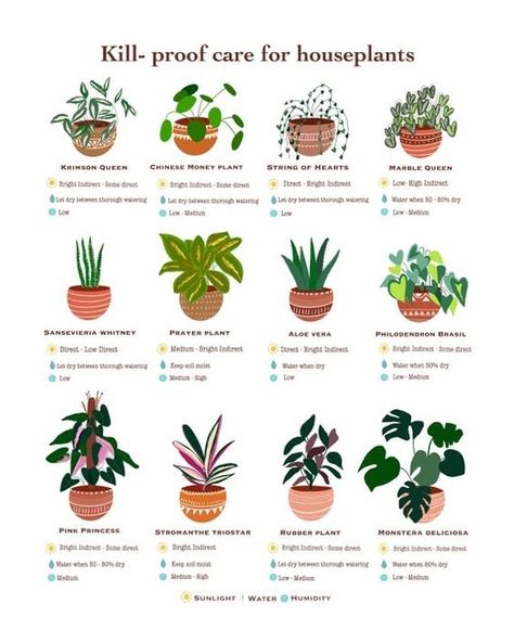 🌿 Kill-Proof Care for Houseplants! 🌿 Do you struggle to keep your houseplants alive? 😅 Don't worry, we've got you covered with these kill-proof plants that even the busiest plant parents can manage! ✨ Top picks for easy care: Krimson Queen: Thrives in bright indirect light and loves to dry out between waterings. 🌞💧 Chinese Money Plant: Enjoys some direct light and low to medium humidity. Easy peasy! 🪴 String of Hearts: Drought-tolerant and loves bright, indirect light. A true survivor! 🌿 M... Plant Care Instructions, Planting Tips, Plant Mama, Plant Magic, Plant Journal, Orchid Garden, Plant Parent, Chinese Money Plant, Gardening Hacks