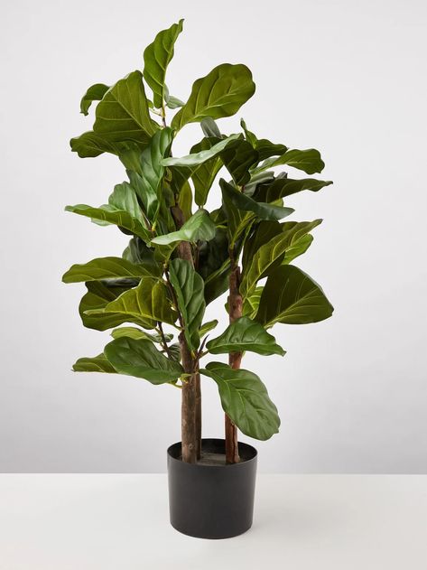 All Homeware | Oliver Bonas Faux Bedding, Light Bulb Plant, Fiddle Fig Tree, Fiddle Tree, Fake Potted Plants, Planting Plants, Hallway Entrance, Tree Artificial, Faux Moss