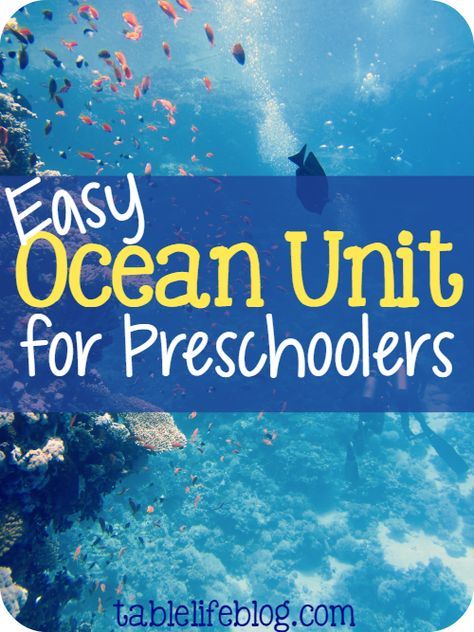 Is your little one fascinated by the sea and its creatures? I can help! I've recently put together an easy preschool ocean unit study for our homeschool. Ocean Lessons, Ocean Unit Study, Ocean Activities Preschool, Ocean Preschool, Preschool Ocean, Ocean Theme Preschool, Ocean Habitat, Ocean Unit, Preschool Units