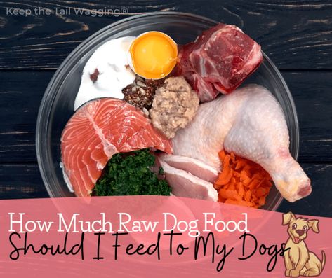 How-Much-Raw-Dog-Food-Should-I-Feed-to-My-Dogs | Keep the Tail Wagging Raw Feeding For Dogs, Braised Chicken Breast, Raw Dog Food Diet, Chicken Mince, Raw Meat, Dog Foods, Roasted Chicken Breast, Natural Dog Food, Raw Dog Food Recipes