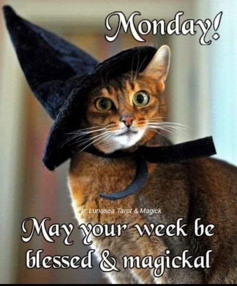 Halloween Good Morning, Good Morning Humor, Weekly Greetings, Monday Morning Greetings, Fall Good Morning, Happy Halloween Gif, Monday Good Morning, Happy Halloween Quotes, Funny Good Morning Memes