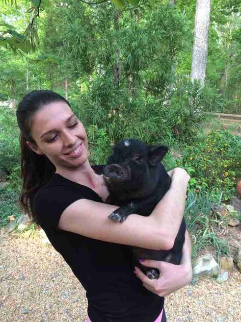 Woman Saves 1 Abandoned 'Teacup' Pig — And Soon Ends Up With 30 Pig Showing, Dream Pet, Pet Bunny Rabbits, Teacup Pigs, Cute Piglets, Spotted Animals, Show Cattle, Guinea Pig Toys, Showing Livestock