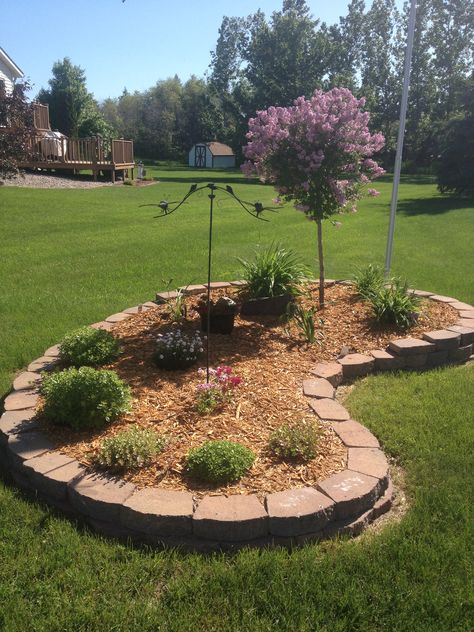 Kidney Bean Shaped Flower Bed, Kidney Shaped Landscape Bed, Flower Bed Shapes Layout, Flower Bed Shapes, Flower Bed Designs Layout, Patio Planting, Flower Garden Ideas Landscaping, Drought Tolerant Landscape Front Yard, Landscape Beds