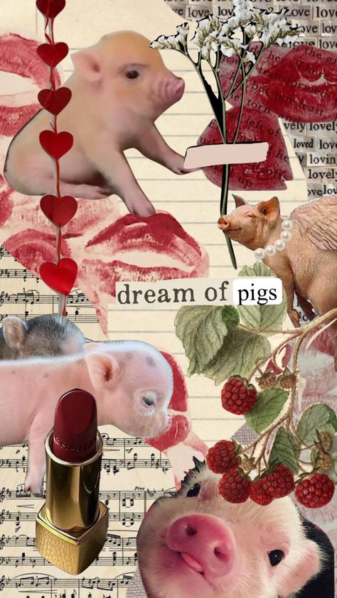 Pig Pictures, Pig Wallpaper, Cute Piglets, Pretty Phone Wallpaper, Simple Iphone Wallpaper, Tapeta Pro Iphone, Collage Illustration, Cute Pigs, Picture Collage