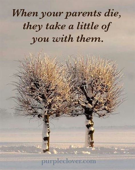 When your parents die, they take a little of you with them. Missing Dad, Missing Mom, Purple Clover, Die Quotes, I Miss My Mom, Miss Mom, Miss My Dad, Mom In Heaven, Miss My Mom