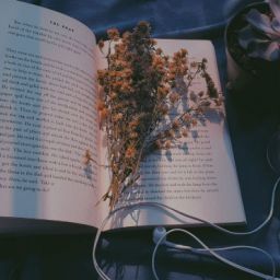 With Friends, Bed, Books, Music, Flowers, Photography