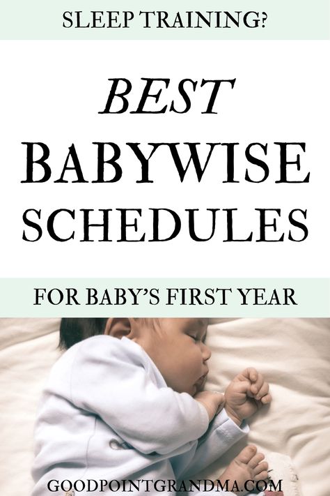 Simplified And Easy Babywise Schedules For Your Baby's First Year One Month Old Sleep Schedule, Newborn Schedule Daily, Babywise Schedule Newborns, 6 Month Old Schedule, Baby Schedule Template, Babywise Schedule, Baby Wise, Newborn Sleep Schedule, Sleep Train