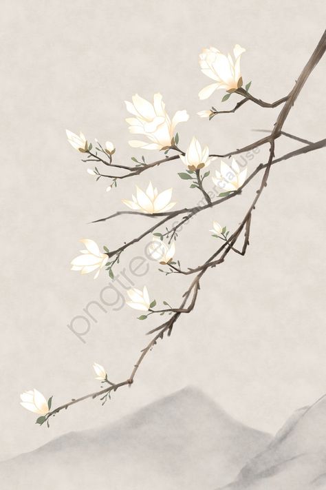 Magnolia Paint, Chinese Flower, Illustration Blume, Font Illustration, Graphic Design Background Templates, Illustration Background, Magnolia Flower, Plant Illustration, Chinese Painting