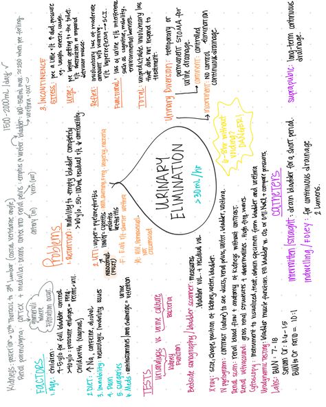 Urinary And Bowel Elimination Nursing, Nursing Elimination Notes, Nursing Fundamentals Urinary Elimination, Renal Nursing Notes, Bowel Elimination Nursing, Elimination Nursing Notes, Bowel Elimination Nursing Notes, Urinary Elimination Nursing School, Nursing Study Notes Cheat Sheets