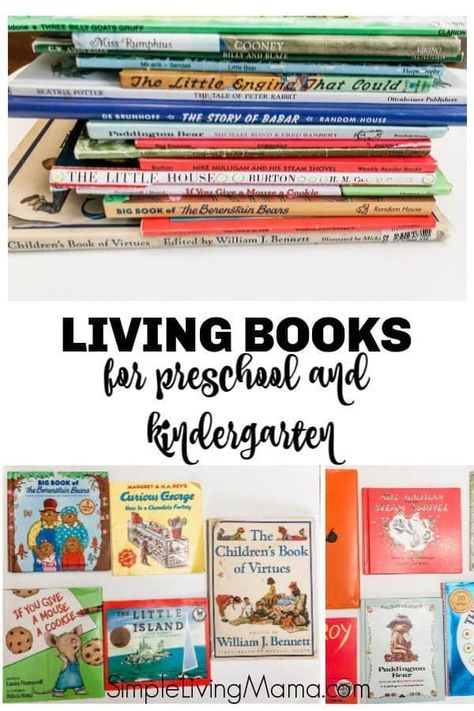 Best Books For Homeschool Library, Kindergarten Book List, Homeschool Library, Charlotte Mason Preschool, Living Books List, Nature Homeschool, Books For Kindergarten, Books For Preschool, Preschool Homeschooling