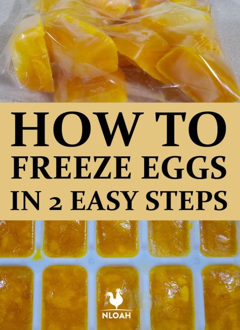 How To Freeze Eggs, Freezer Eggs, Can You Freeze Eggs, Freezing Food Guide, Frozen Eggs, Freeze Eggs, Freezing Vegetables, Freezing Eggs, Freezing Food