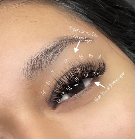 Hybrid Wispy Eyelash Extensions Cat Eye Mapping, Wispy Cat Eye Mapping, Lash Map For Hybrid, Open Lash Extensions, Open Eye Hybrid Lash Extensions Mapping, Volume Eye Lash Extensions, Wispy Hybrid Volume Lash Extensions, Wispy Hybrid Mapping, Fluffy Hybrid Lash Extensions Map