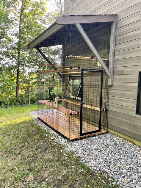 Greenhouse Catio, Backyard Casita, Cat Patio Diy, Catio Ideas, Katt Grejer, Lion's Den, Cat Patio, Outdoor Cat Enclosure, Cat House Diy