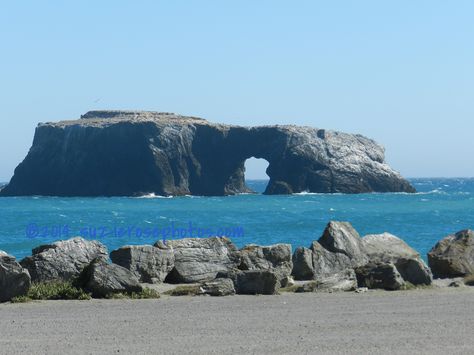 Goat Rock Beach, Jenner, CA | Since it was a hot day here, w… | Flickr Goat Rock Beach, Rock Tattoo, Rock Beach, Parking Area, California Coastline, California Travel Road Trips, Light Houses, Love Me Forever, Hot Day