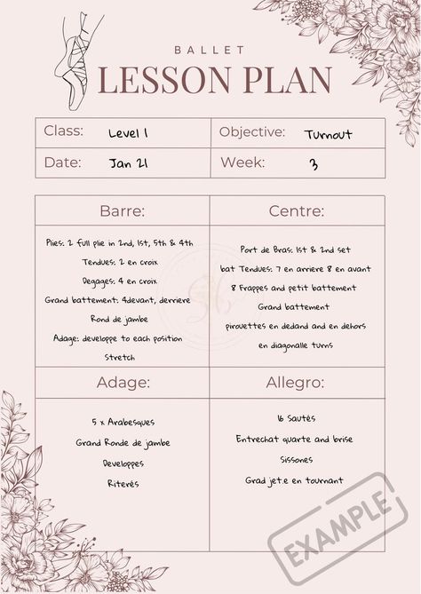 Ballet Lesson Planner Downloadable Planner for Ballet - Etsy Canada How To Learn Ballet At Home, Beginner Ballet Lesson Plans, Ballet Lesson Plans, Ballet 101, Dance Tools, Ballet For Kids, Ballet Dictionary, Dance Terminology, Ballet Routine