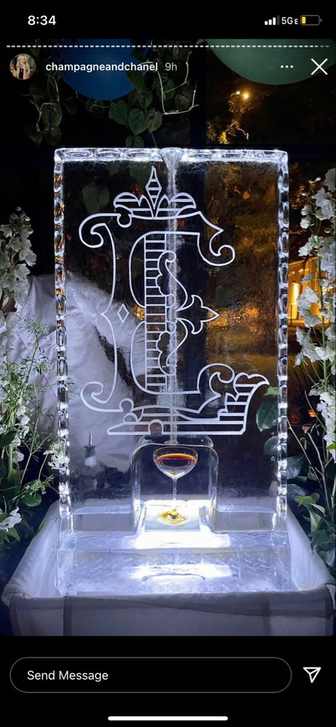 Ice Sculpture Wedding, Barr Mansion Wedding, Chanel Wedding, Ice Luge, Nola Wedding, Ice Sculpture, Luge, Party Inspo, Ice Sculptures