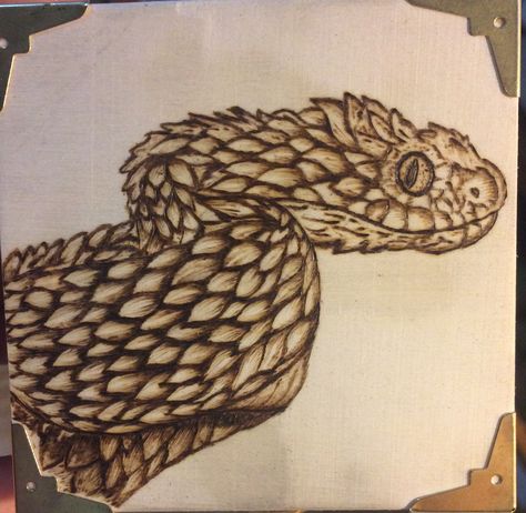 Viper Snake, Pyrography, Wood Burning, Wood, Art