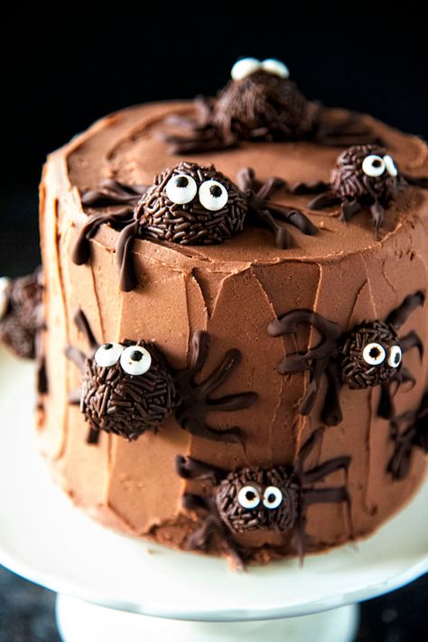 Chocolate Truffle Pumpkin Spider Cake Halloween Spider Cake, Spider Cake Birthday, Halloween Birthday Cakes For Kids, Spider Birthday Cake, Cibo Halloween, Halloween Chocolate Cake, Spider Party, Halloween Torte, Spider Cake