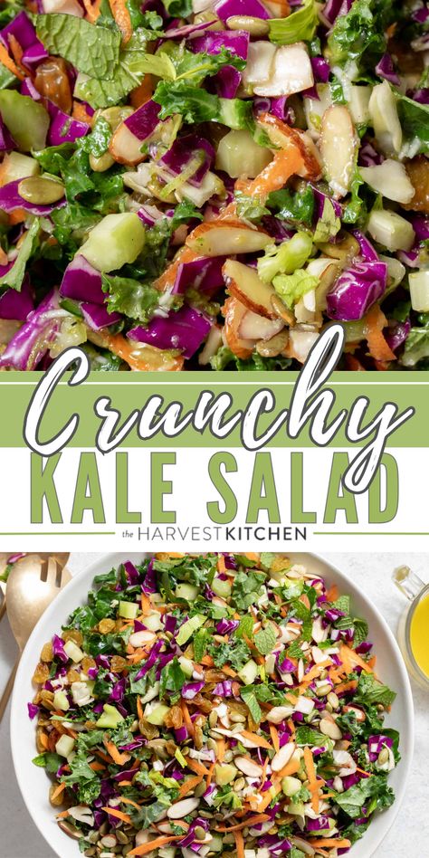 This Chopped Kale Salad recipe is loaded with curly kale, red and green cabbage, fresh herbs, golden raisins nuts and seeds all tossed in a completely addictive honey lime vinaigrette. Serve this kale cabbage salad with grilled chicken or fish, with a bowl of hearty soup or stew, or enjoy it as a light meal on its own. Cabbage Kale Salad Recipes, Kale Chopped Salad Recipes, Kale And Red Cabbage Salad, Kale Salad With Balsamic Vinaigrette, Red Cabbage And Kale Recipes, Massaged Kale Salad Recipes, Kale And Potatoes Recipes, Cabbage And Kale Salad, Chopped Kale Salad Recipes