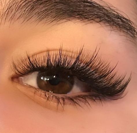 Lash Tricks, Lashes Fake Eyelashes, Cat Eye Lash, Eyelash Extensions Styles, Lash Extensions Styles, Perfect Eyelashes, Lash Clusters, Pretty Lashes, Natural Eyelash Extensions