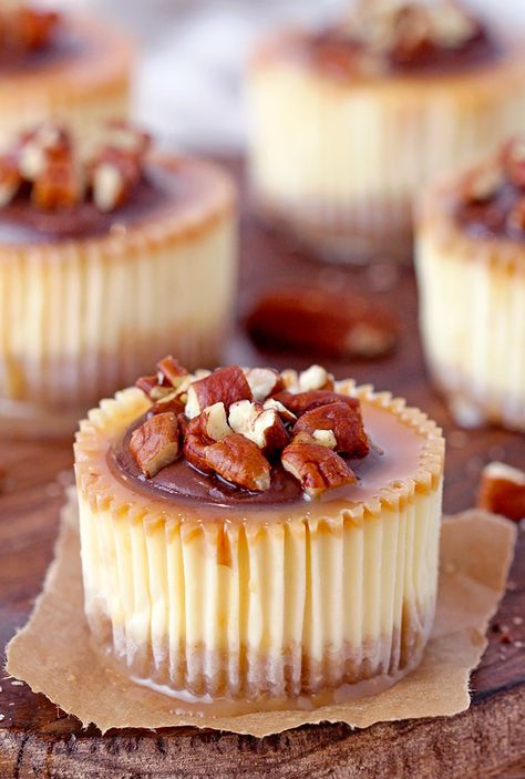 Turtle Mini Cheesecakes Just Perfect For Holidays & Special Events Cheesecake Turtle, Turtle Cheesecake Recipes, Turtle Cheesecake, Mini Cheesecake Recipes, Girls Brunch, Party Food And Drinks, Mini Cheesecakes, Chocolate Cinnamon, Creamy Cheesecake