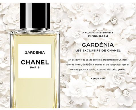 Chanel Gardenia Perfume, Gardenia Chanel, Chanel Gardenia, Perfume Wardrobe, Gardenia Perfume, Chanel Fragrance, Mademoiselle Chanel, Wear Perfume, Chanel Perfume