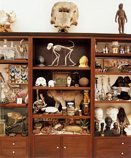 MARK DION CABINET OF CURIOSITIES FOR THE WEISMAN ART MUSEUM Mark Dion, Curiosities Cabinet, Weisman Art Museum, Taxidermy Decor, Cabinet Of Curiosity, Curiosity Cabinet, Dark House, Vulture Culture, Cabinet Of Curiosities