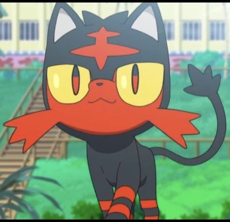 (725) Litten (Screenshot) Legendary Pokemon Pfp, Litten Pokemon Pfp, Low Quality Pokemon Pfp, Rowlet Pokemon Pfp, Pokemon Funny Icon, Pokemon Litten, Litten Pokemon, Cat Pokemon, Starter Pokemon