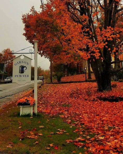 Colorful Autumn Aesthetic, Fall In New Hampshire, New Hampshire Fall, October Is My Favorite, East Coast Aesthetic, Fall Boards, Fall Mood Board, Fall Inspo, My Favorite Color