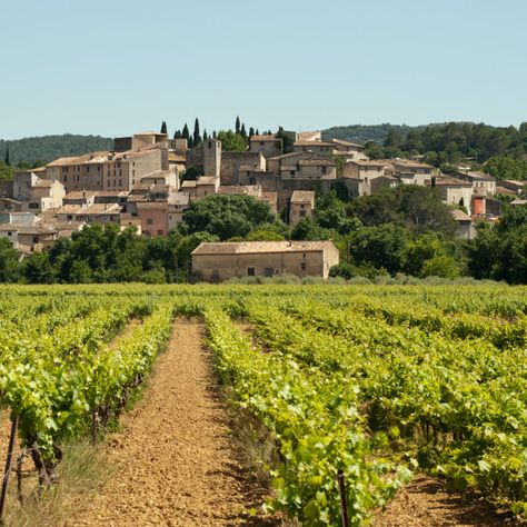 Best Wineries To Visit In Provence - TravelAwaits French Bordeaux, Tour Of France, Dijon France, Cheese Factory, Going Abroad, Regions Of France, France Itinerary, France Vacation, France Trip