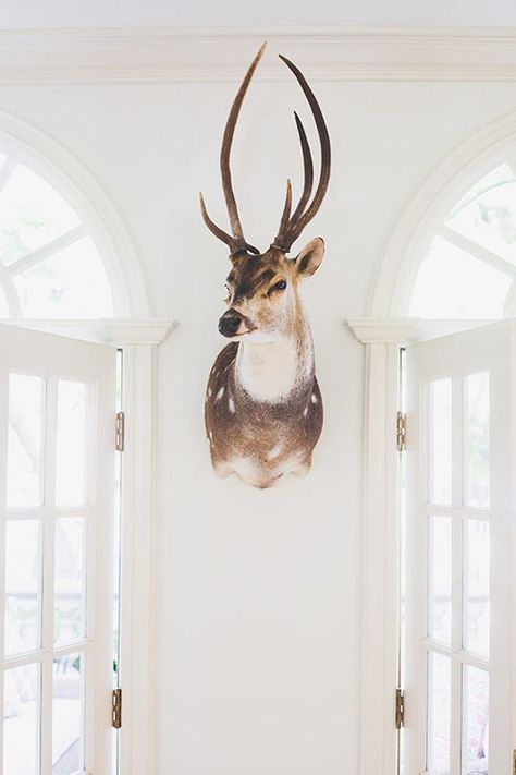 .. Deer Mount Decor, Taxidermy Decor, Trophy Head, Plush Furniture, Deer Mounts, Soft Luxury, Deer Wall, Los Angeles Homes, Deer Head