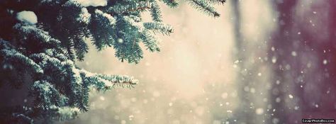 Facebook-Cover-winter-snow-tree Winter Cover Photos, Vintage Facebook Cover, Winter Facebook Covers, Facebook Cover Photos Vintage, Hello English, Spring Desktop Wallpaper, Facebook Background, Blog Templates, Facebook Cover Images