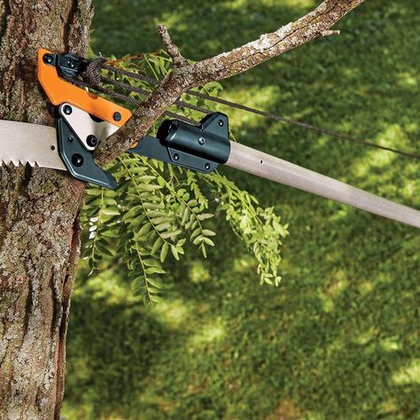 Hedge Shears, Pole Saw, Saw Tool, Lawn Edging, Garden Hand Tools, Pruning Shears, Step By Step Guide, Natural Shapes, Step Guide