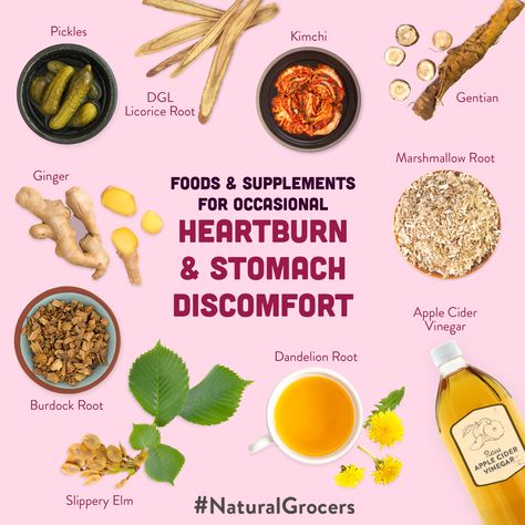 Are heartburn and stomach discomfort bringing you down? The culprit may be surprising--you may need more stomach acid to properly support digestive health. So, before you reach for another antacid, consider incorporating these foods, herbs and supplements into your diet. Click through to see more ways to support digestion! #NaturalGrocers #indigestionrelief #heartburnremedy #fermentedfoods Indigestion Relief, Digestive Bitters, Natural Grocers, Heart Burn Remedy, Raw Apple Cider Vinegar, Slippery Elm, Ginger Recipes, Stomach Acid, Nutrition Education