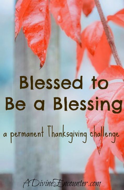 Poignant post challenges you to thank God for blessings, without forgetting you were blessed to be a blessing to others. http://adivineencounter.com/blessed-to-be-a-blessing/ Blessed To Be A Blessing, Be A Blessing To Others, Good Times Quotes, Happy Birthday Cards Printable, Be A Blessing, Gods Love Quotes, Blessed Life, You Are Blessed, Hope Quotes