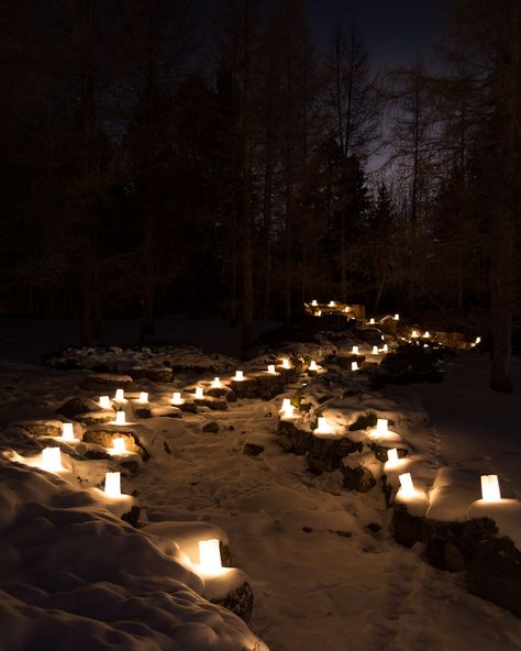 Pagan Sabbats, Botanic Gardens, Witchy Woman, Cozy Place, Winter Night, Winter Solstice, Forest Wedding, Lantern Lights, Yule