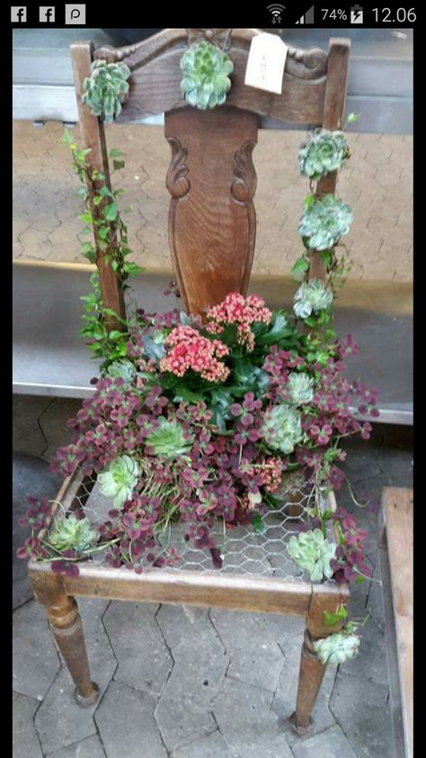 Chair Planter Ideas Garden Art, Old Chair In Garden, Chair Planter Ideas, Wicker Chair With Flowers, Old Chair With Flowers, Plant Covers, Fairy Garden Crafts, Old Chair, Succulent Arrangements