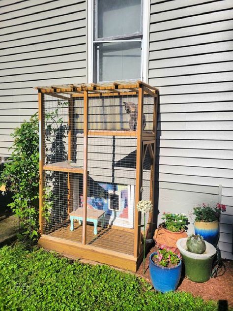 Outdoor Cage For Cats, Cat Window Box Outdoor, Camper Catio Ideas, Small Cat Patio, Cat Patio Diy How To Build, Ikea Catio Hacks, Enclosed Cat Patio, Diy Catios For Cats Easy, Catio Attached To House