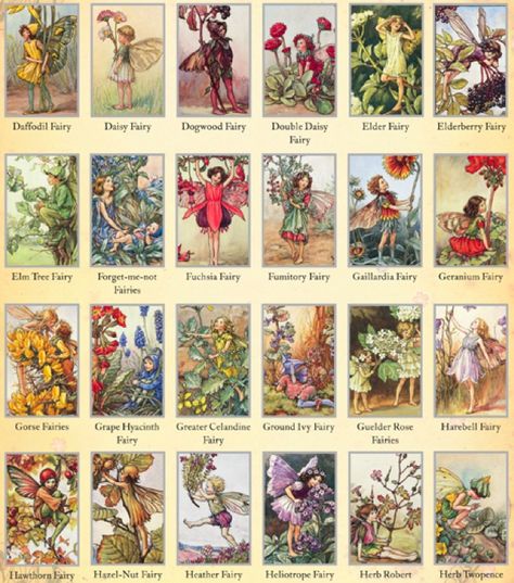 Flower fairies Flower Fairies Books, Fairy Books, Types Of Fairies, Fairy Images, Fairy Pictures, Fairy Artwork, Cicely Mary Barker, Vintage Fairies, Fairy Book