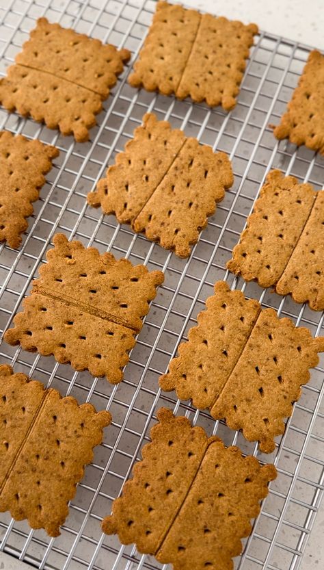 homemade honey graham crackers that feel like a hug from your childhood. made with wholesome grain free, gluten free, paleo ingredients Gf Graham Crackers, Honey Graham Crackers, Paleo Crackers, Honey Almonds, Homemade Gluten Free, Fall Activities, Healthy Sweets, A Hug, Graham Crackers