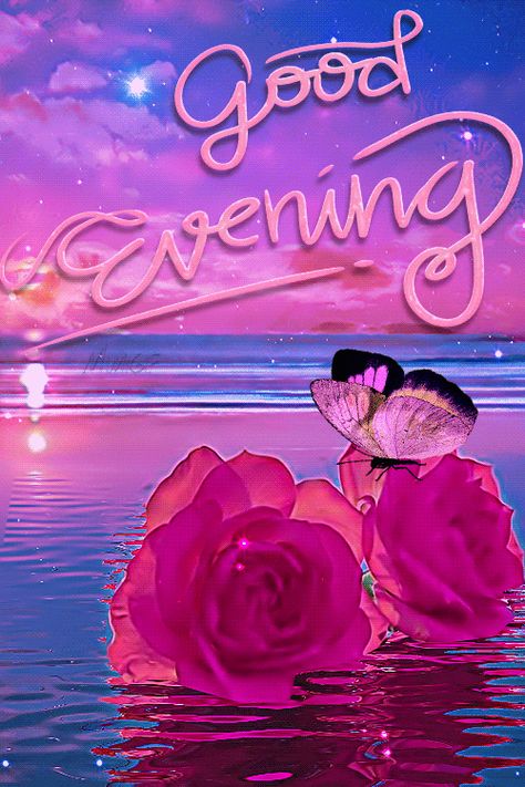 Mimi Gif: Good Evening Have A Good Evening Gif, Good Evening Gif Images, Goodevening Flowers, Good Evening Gif, Evening Gif, Evening Blessings, Good Evening Images, Good Evening Love, Evening Wishes