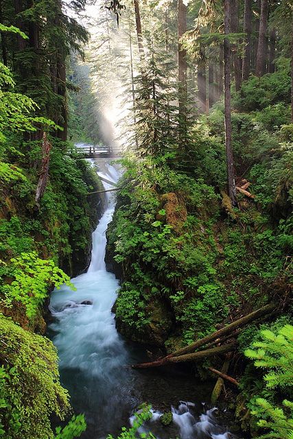 Sol Duc Waterfall, Olympic National Park, Washington, USA New York Christmas Aesthetic, Olympic National Park Washington, Olympic National Park, Beautiful Waterfalls, Alam Yang Indah, Green Trees, Amazing Nature, Wyoming, Beautiful World