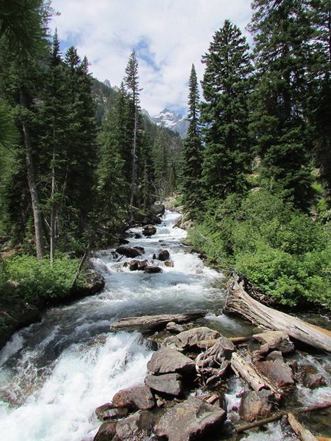 #EarthPorn #HikingAdventures #Hiking #rt #trekkingaussie #Mountains #EpicEarth #Nature #Travel #Fitness #Health #Wellness #Fitfam Babbling Brook, Waterfall Scenery, Jackson Wyoming, Mountain Lakes, Water Art, Earth From Space, Fitness Health, Landscape Photographers, Fantasy Landscape