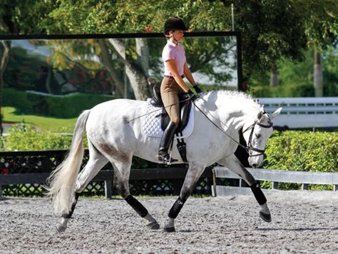 Paddock Trail, Dressage Exercises, Dressage Training, Riding Tips, Horse Exercises, Horse Info, Horse Riding Tips, Equestrian Helmet, Horse Training Tips