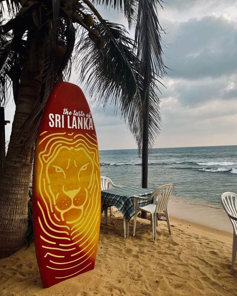 The palm trees, sandy shore, and gentle waves of the ocean create a tranquil atmosphere, perfect for relaxation and enjoying the natural beauty of the coastline. The empty table and chairs suggest a peaceful, unspoiled spot where one can savor the local flavors and the calming sounds of the sea, offering a quintessential Sri Lankan beach vibe. #srilankatourism #travelsrilankawithus #travelsrilanka #summervacation #wintervacation #srilanka #DiscoverSriLanka #VisitSriLanka #ExploreSriLanka #sr... January Goals, Aesthetic Instagram Accounts, Sri Lanka Beach, Waves Of The Ocean, Surf Poster, Calming Sounds, Travel Vibes, Vision Board Pictures, South East Asia