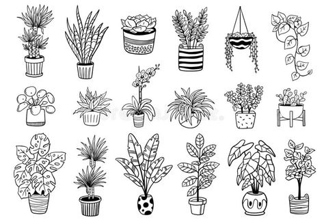 Set of cute Indoor and outdoor plants in pots. royalty free illustration Indoor Plant Embroidery, Black And White Plants Drawing, Black And White Plant Drawings, Plants Tattoo Ideas, Cute Plant Tattoos, Plant In Pot Drawing, Indoor Plant Tattoo, Pot Plant Tattoo, Pot Plant Drawing